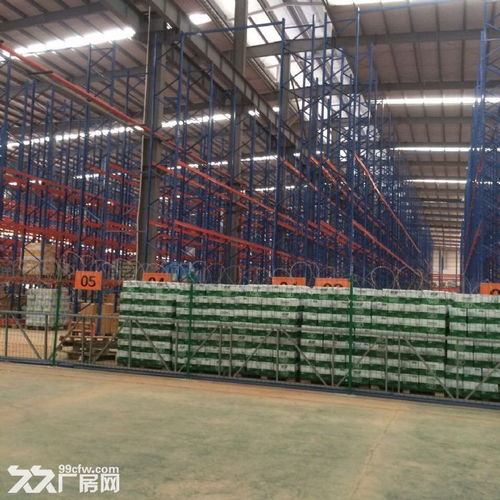 高標(biāo)食品倉(cāng)庫(kù)招租 | 14米層高鋼結(jié)構(gòu)，萬(wàn)平空間配設(shè)備租賃服務(wù)